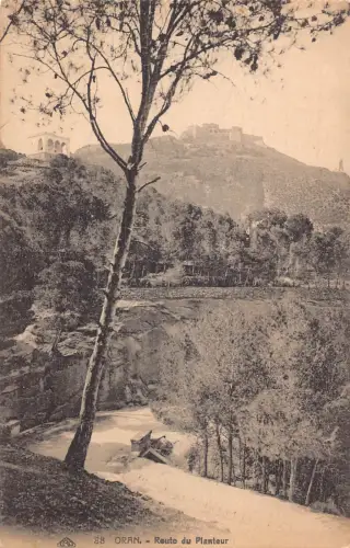 B018 Algerien Oran Route du Planteur Vintage Postkarte