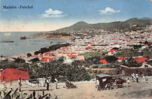 B014 Portugal Madeira Funchal Gesamtansicht Ochsenwagen Vintage Postkarte
