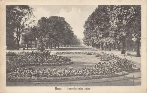B010 Deutschland Bonn Poppelsdorfer Allee Vintage Postkarte