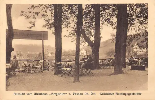 B022 Deutschland Weinhaus Bergkeller bei Passau Weinhaus Vintage Postkarte