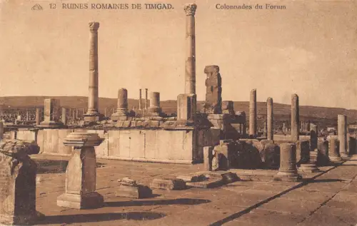 B018 Algerien Römische Ruinen von Timgad Säulen von Forum Vintage Postkarte