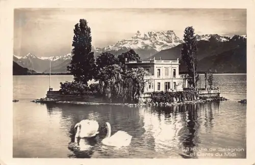 A644 Schweiz 1932Ile de Salagnon et Dents du Midi Schwanensee Postkarte