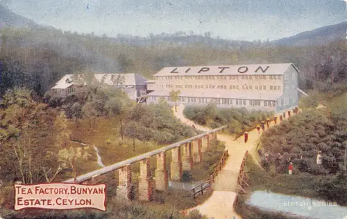 B431 Ceylon Sri Lanka The Factory Bunyan Estate Lipton Vintage Postkarte