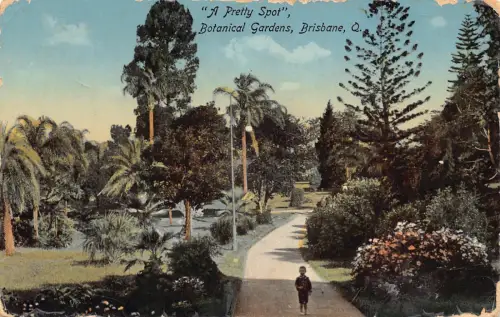 A684 Australien Pretty Spot Botanischer Garten Brisbane Vintage Postkarte