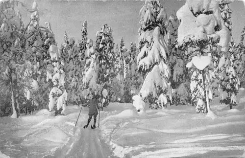 A687 Norwegen 1916 Winterwald Sport Mann Skifahren Vintage Postkarte