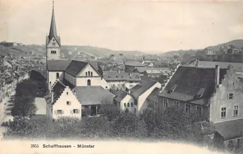 A693 Schweiz Schaffhausen Münster Kirche Vintage Postkarte