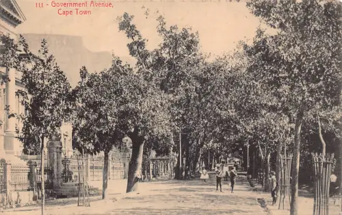 A708 Südafrika Government Avenue Kapstadt Vintage Postkarte