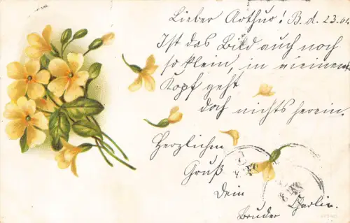 A719 Frühlingsgrüße 1907 Blumen Primula vulgaris Primel Litho Postkarte