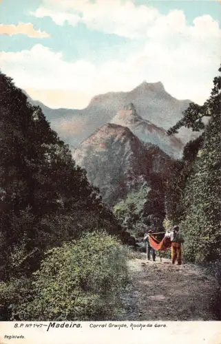 A718 Portugal Madeira Corral Grande Rocha da cara Männer Pflege Hängematte Postkarte