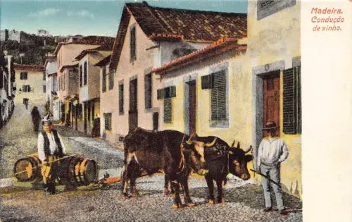 B031 Portugal Conducao de Vinho Weinfass Wagen Bullocks Madeira Postkarte
