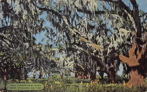 B029 US Louisiana The Pakenham's Oaks New Orleans Vintage Postkarte