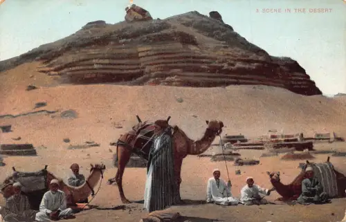 A740 Ägypten Kairo Eine Szene in der Wüste Kamele Beduinen Vintage Postkarte