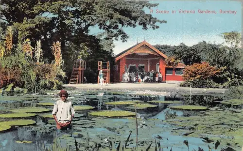 A005 Indien Eine Szene in Victoria Gardens Bombay Lotus Blätter Mann im Teich Postkarte