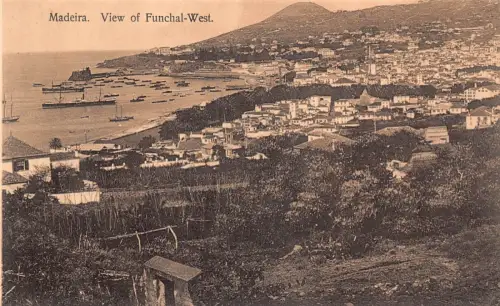 A001 Portugal Madeira Blick auf Funchal West Hafen Dampfer Vintage Postkarte