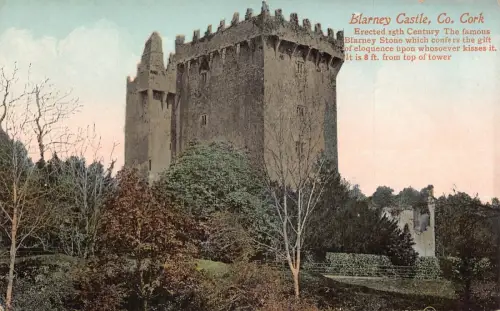 L385 Irland Blarney Castle Co Cork Vintage Postkarte