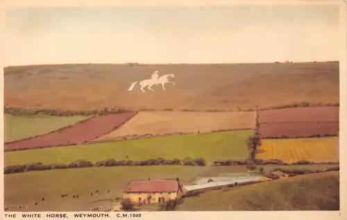 L243 England Das weiße Pferd Weymouth Vintage Postkarte