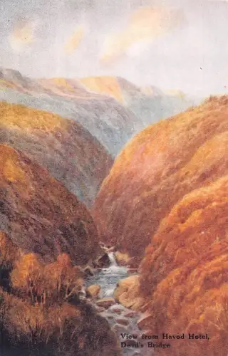 L244 Wales Blick vom Havod Hotel Devil's Bridge Vintage Postkarte