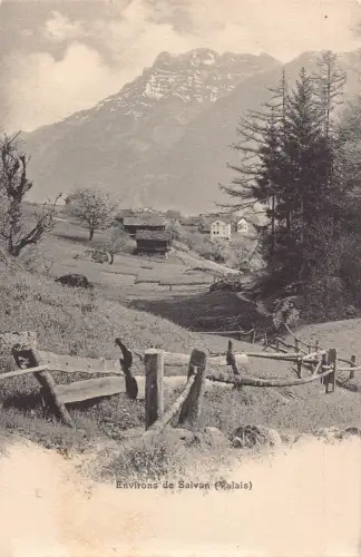 A693 Schweiz Environs de Salvan Wallis Bauernhof Vintage Postkarte