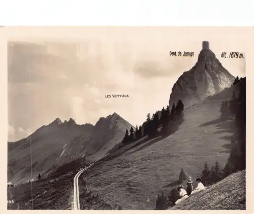A181 Schweiz Dent de Jaman alt 1879 Les Verreaux Mädchen Berg Postkarte