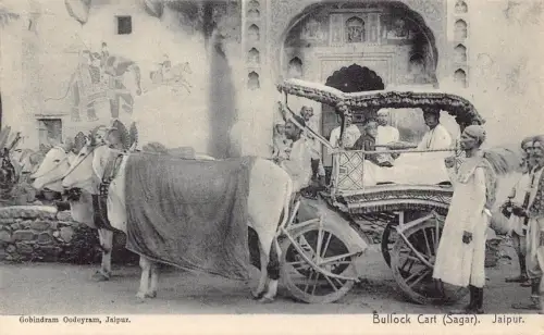 A008 Indien Jaipur Ochsenwagen Sagar Vintage Postkarte