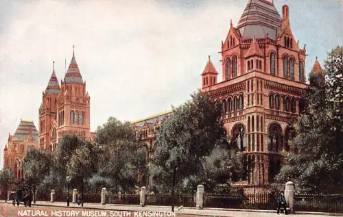A784 England London National History Museum South Kensington Vintage Postkarte