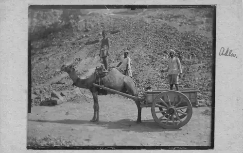 Jemen Aden Lastentast Kamelwagen Ureinwohner ethnisch RPPC Vintage Postkarte B909