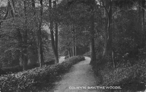 B065 Wales 1919 Colwyn Bay The Woods Vintage Postkarte