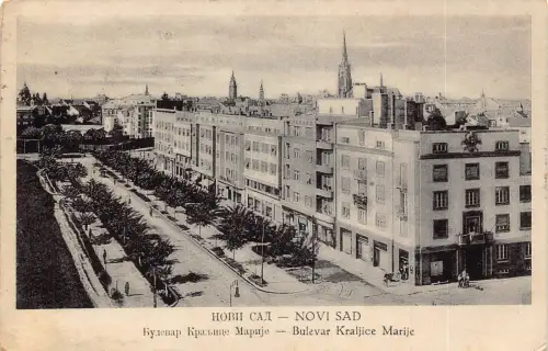 B058 Serbien 1939 Novi Sad Boulevard Kraljice Marije alte Postkarte