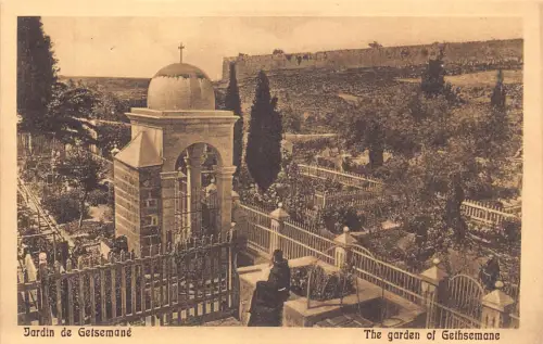 B066 Israel Der Garten Gethsemani Jerusalem Vintage Postkarte