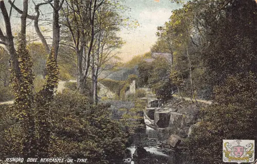 B065 England Jesmond Dene Newcastle on Tyne Vintage Postkarte