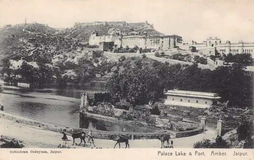 A008 Indien Jaipur Palace See und Fort Bernstein Kamele Transport Vintage Postkarte