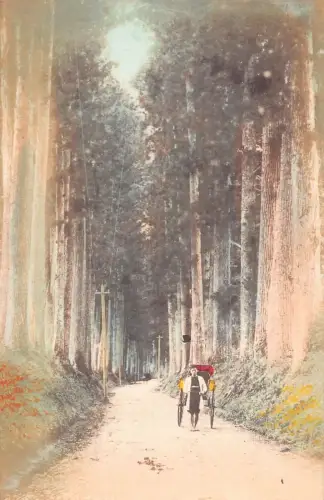 L268 Japan Cryptomeria Road Nikko Rikscha Mann Vintage Postkarte
