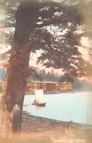 L268 Japan Chuzenji See Nikko Baum Segelboot Vintage Postkarte