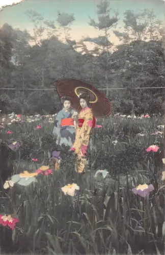 L266 Japan Zwei Geishas in Tracht Kimono Blumenfeld Postkarte