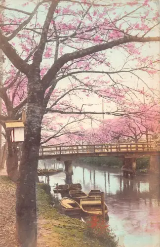 L266 Japan Kirschblütenbaum Sakura Boote Brücke Vintage Postkarte