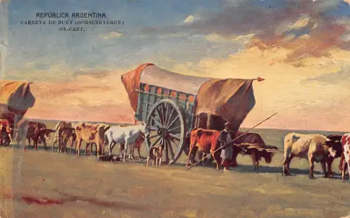 A815 Argentinien Kunst Carreta de Buey Ochsenkarre Bauern Vintage Postkarte