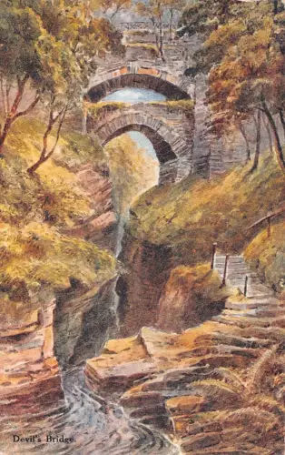 L245 Wales Teufelsbrücke Bäume Fluss Vintage Postkarte
