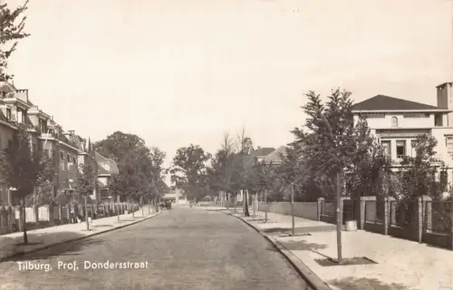A189 Niederlande Prof Donderstraat Straßenbäume RPPC Vintage Postkarte