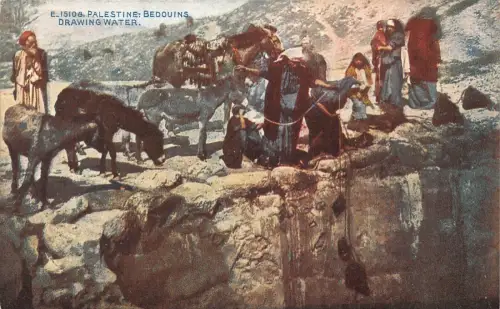 L285 Palästina Beduinen zeichnen Wasserpferde auf Klippen Vintage Postkarte