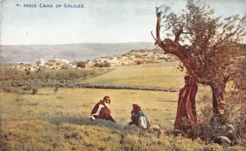 L285 Israel Kana von Galiläa ruht unter Baum Vintage Postkarte