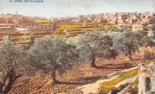 L285 Israel Bethlehem Panoramablick Vintage Postkarte