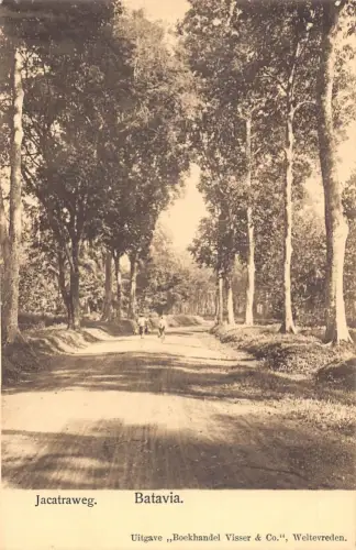 L281 Indonesien Niederländisch-Ostindien Jacatraweg Batavia Straße Bäume Postkarte