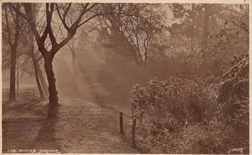 A023 England Wintersonne in einem unbekannten Park Vintage Postkarte