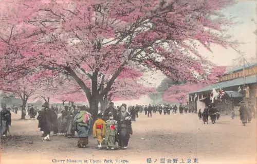 L274 Japan Kirschblüte im Uyeno Park Tokio Flaggen Tracht Postkarte