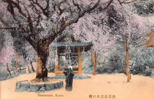 L274 Japan Kirschblüte Hananotera Kyoto Sakura Vintage Postkarte