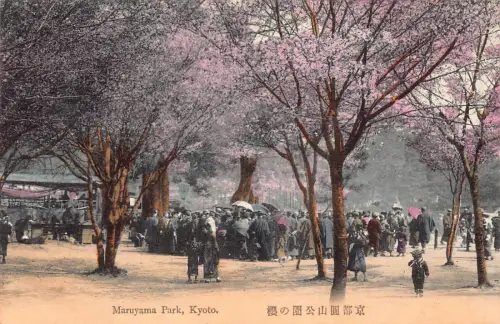 L274 Japan Kirschblütenbaum Sakura Maruyama Park Kyoto Vintage Postkarte