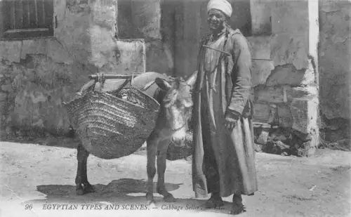 A831 Ägyptische Arten und Szenen Kohlverkäufer Esel Postkarte