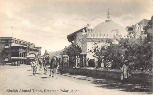 A831 Jemen Steamer Point Sheikh Ahmed Grab Kamele Vintage Postkarte