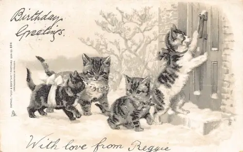 Tiere anthropomorphe Katzen klingeln vor Tür Schnee vermenschlicht 1903 Postkarte B920