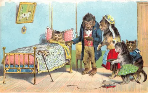 Tiere anthropomorpher Affe Arzt Katze krank im Bett vermenschlicht Postkarte B920